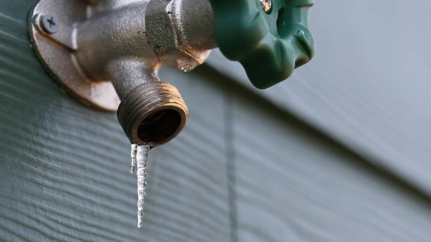 Best Shower Repair Services  in Sharpes, FL